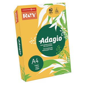 REY - ADAGIO ALBICOCCA 60 INTERNATIONAL PAPER A4 160gr}