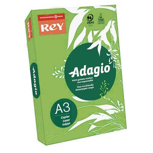 REY - ADAGIO VERDE FLUORESCENTE 14 INTERNATIONAL PAPER A3 80gr