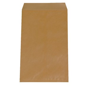 SACCO PIATTO SENZA GOMMA AVANA ASCAM 25x41cm 80gr}