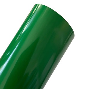 BINDAKOTE COLOURS BRIGHT VERDE 20 FAVINI 250gr 33x48cm}