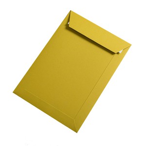 BUSTA COLORPLAN STRIP CHARTREUSE 32.4x22.9cm}