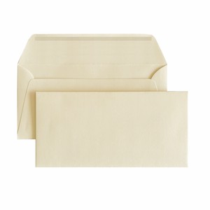 BUSTA TWILL GOMMATA CAMOSCIO PEREGO CARTA 11x22cm DL}