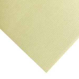 CLASSY COVERS TELATO (TT) CAMOSCIO FAVINI 120gr 21x29.7cm}
