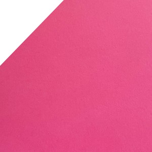 Risma Cartoncino Colorato Fucsia Fuxia A4 160 GR - 250ff Carta  Fabriano21x29cm