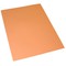 CARTELLINA SEMPLICE PANNOSA ARANCIO CARTOTECNICA DEL GARDA 145gr 25x34cm