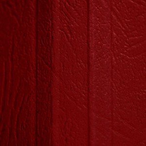 TERMOCOPERTINE TERMOVEGAR ROSSA TOSINGRAF 21x29.7cm dorso 1.5mm rilega 15 FOGLI}