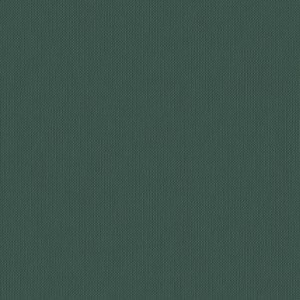 WIBALIN BUCKRAM DARK GREEN WINTER & COMPANY 102cmx100MT 115gr}