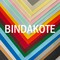BINDAKOTE COLOURS BRIGHT VERDE 20 FAVINI 250gr 33x48cm