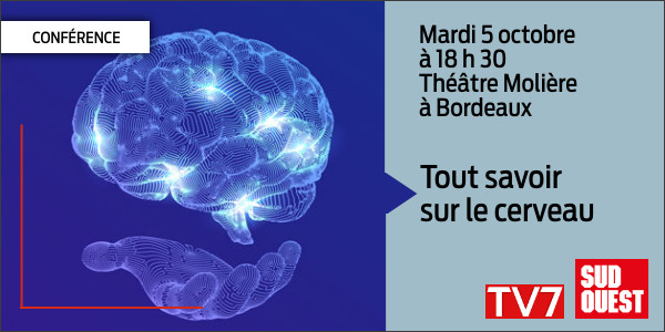 conférence chu bordeaux - cerveau