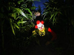 Pop-corn-zombies---Credit-photo-Pop-Corn-Labyrinthe