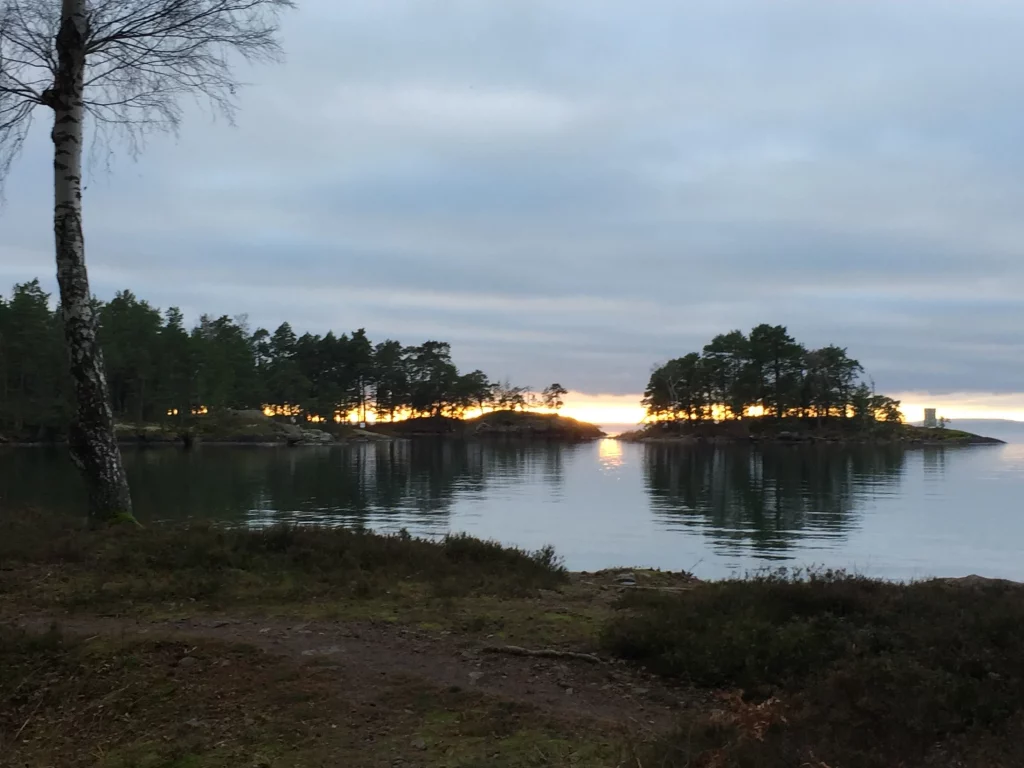 Utsikt över viken