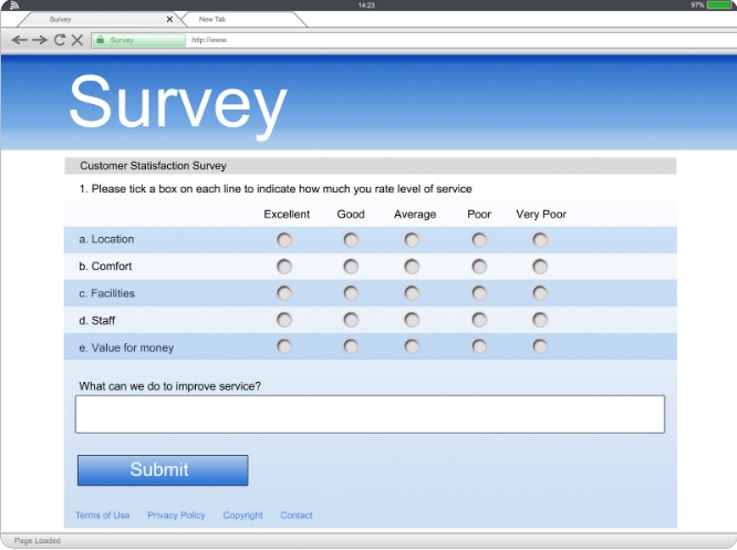 What is a customer satisfaction survey?