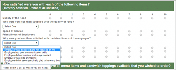 SubWay Customer Satisfaction Survey Questions