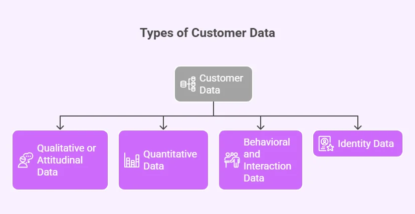 Types of customer data