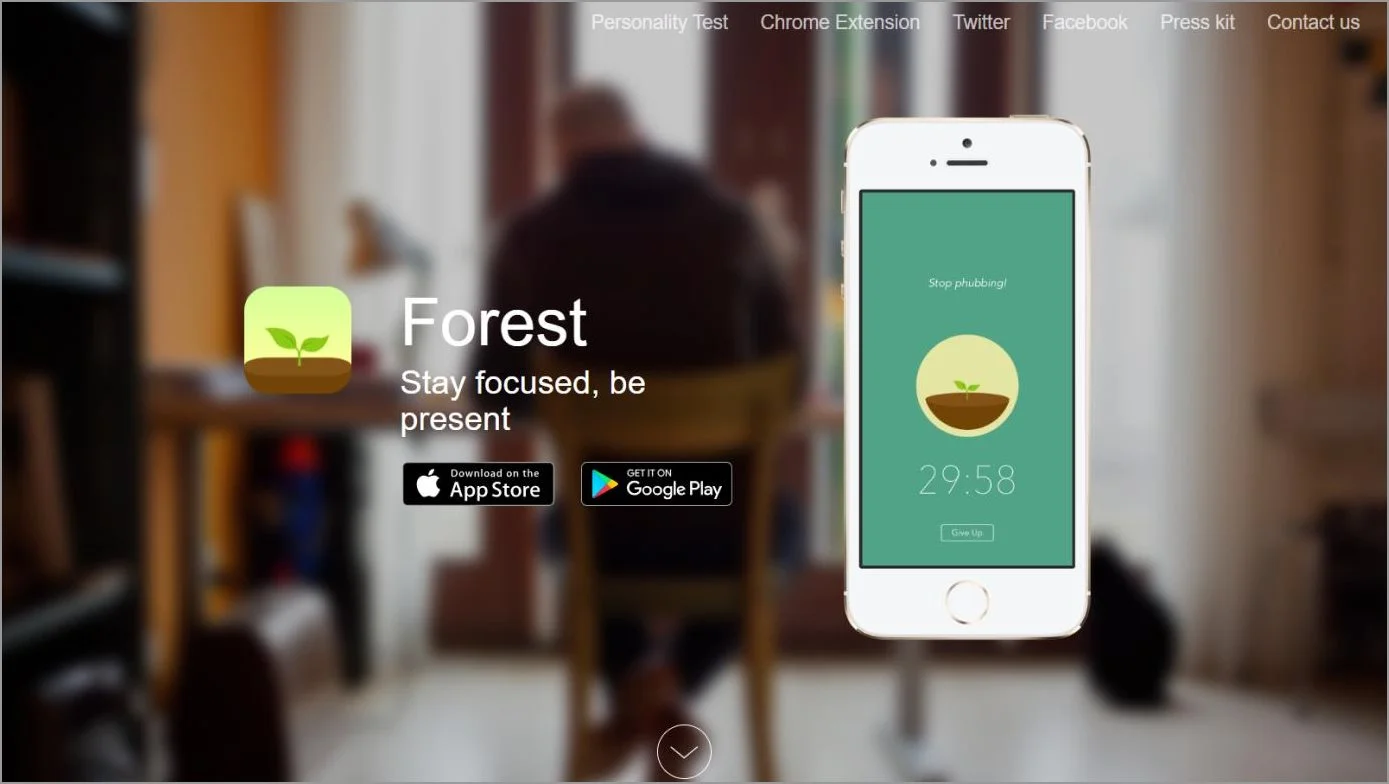 Forest