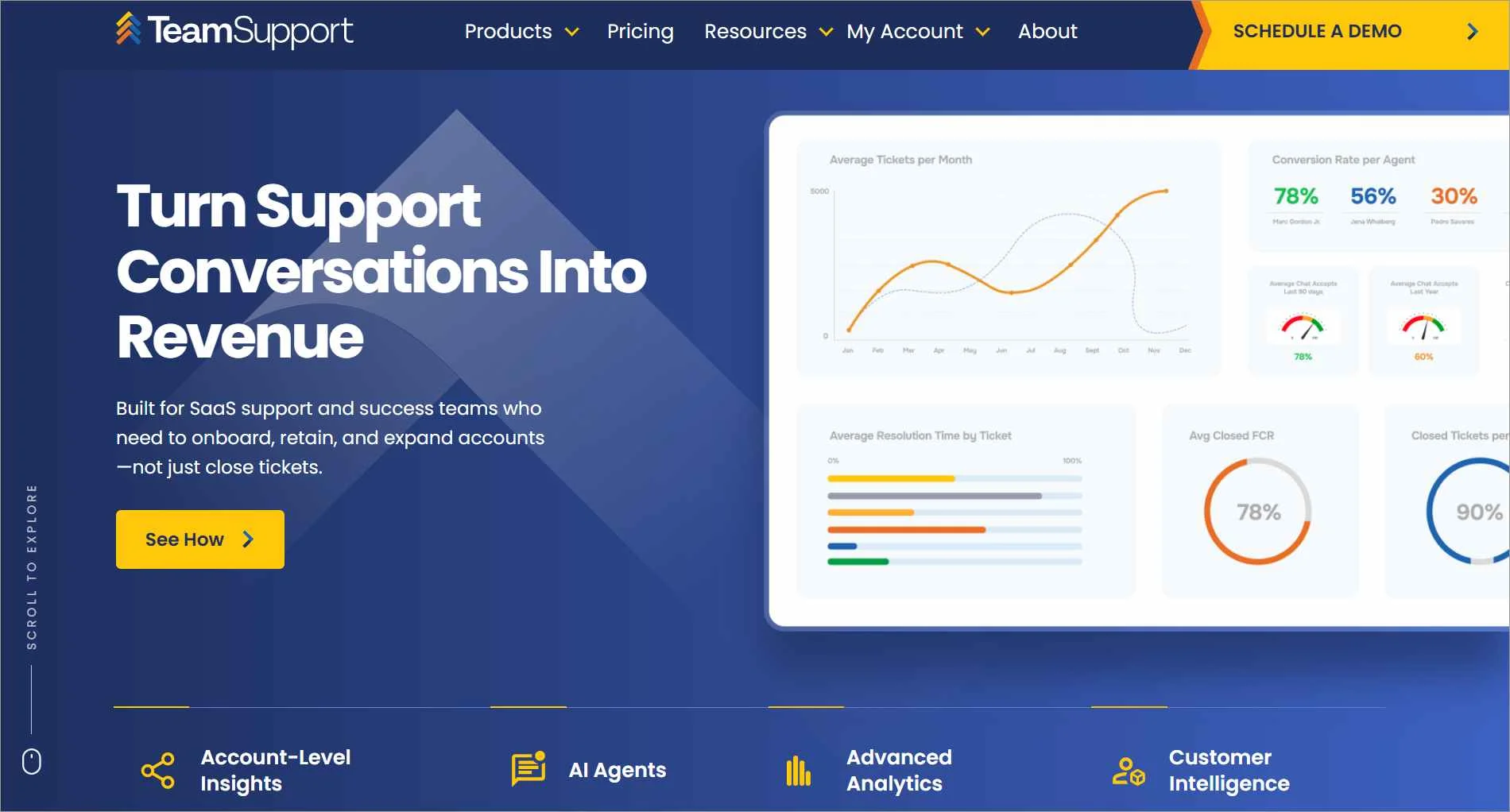 TeamSupport customer support software highlighted as a LiveAgent alternative for complex ticketing