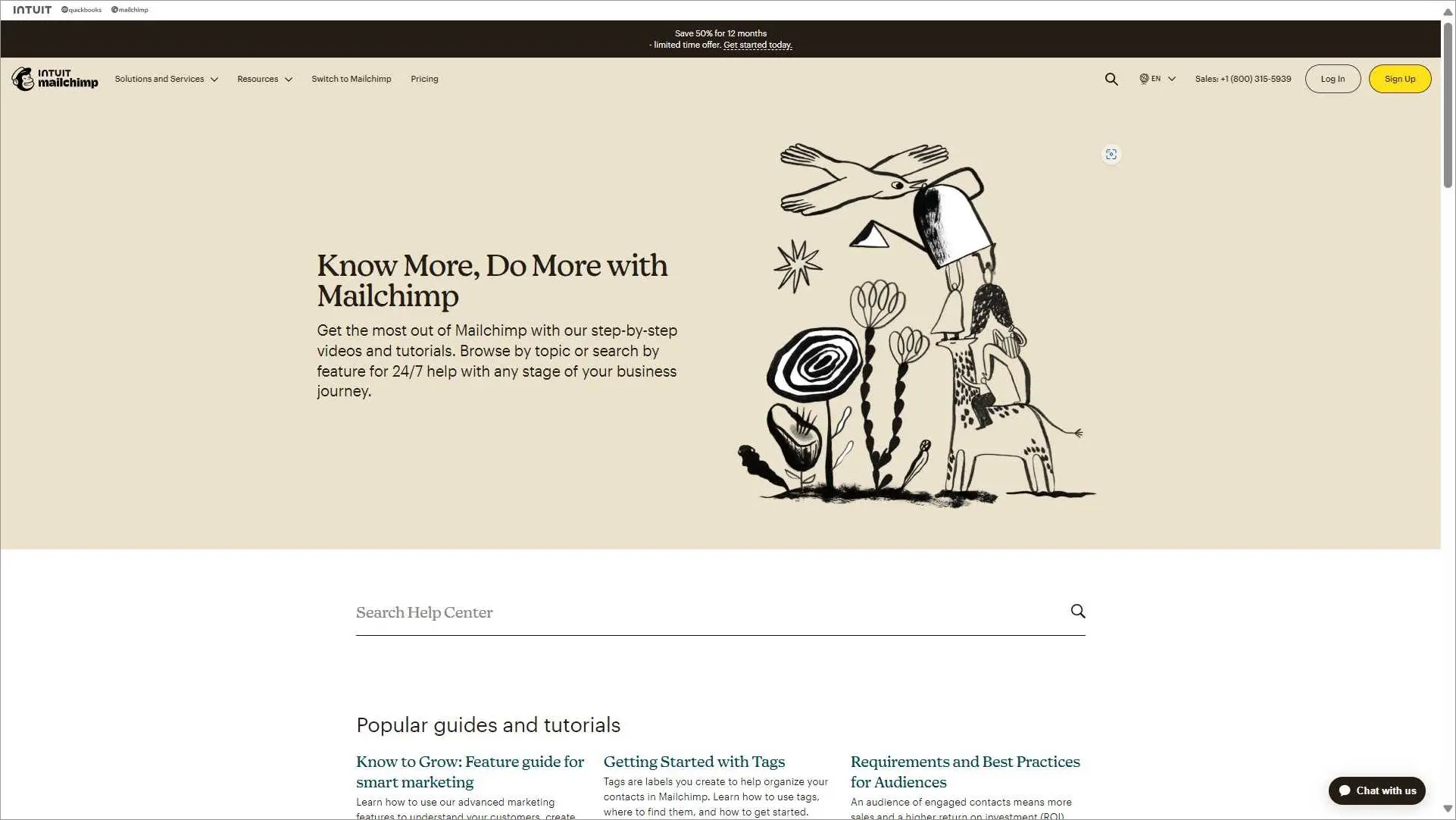 Mailchimp knowledge base example