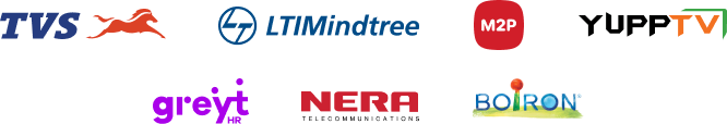 Trusted by companies