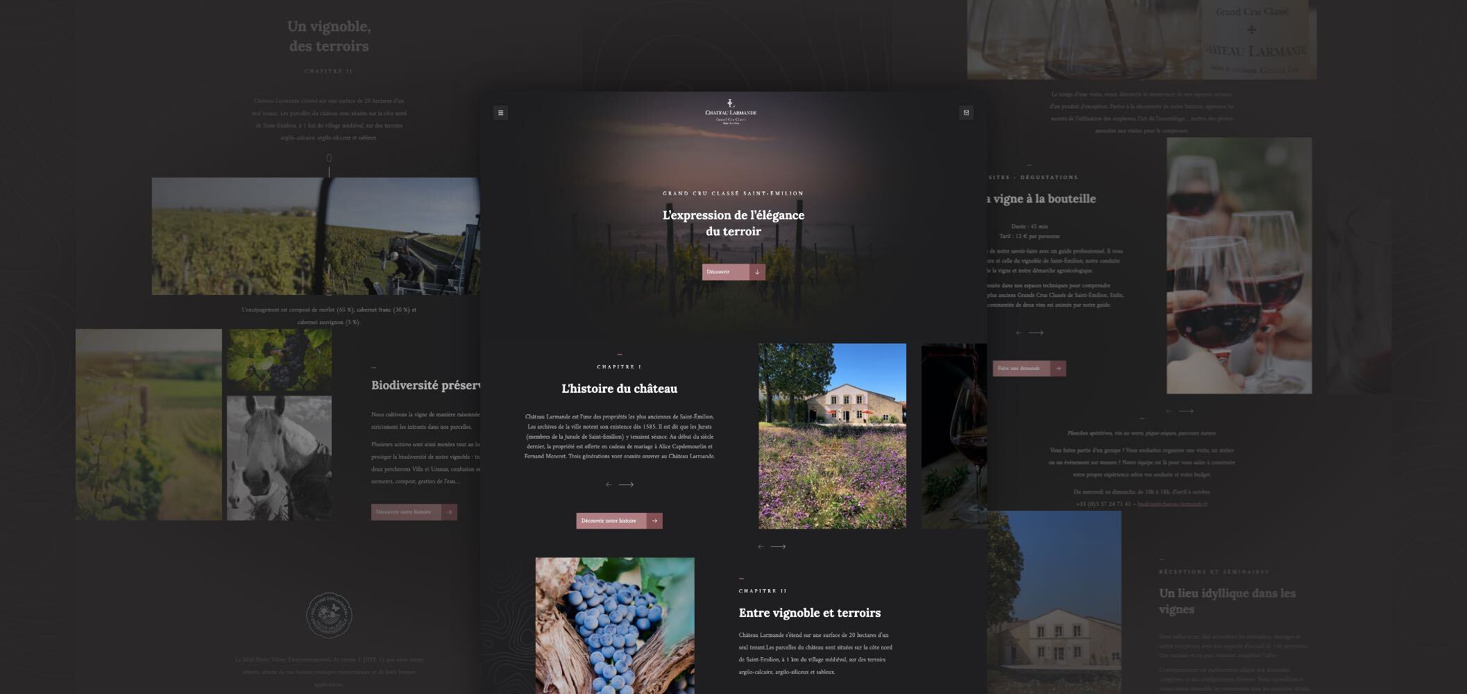 Design site Chateau Larmande