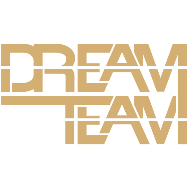 Dreamteam Service I/S logo