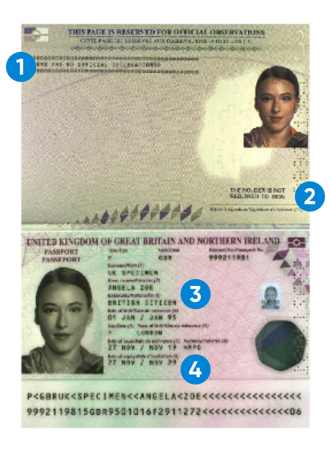 Driving Licence