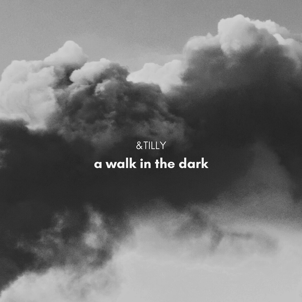 A Walk in the Dark cover