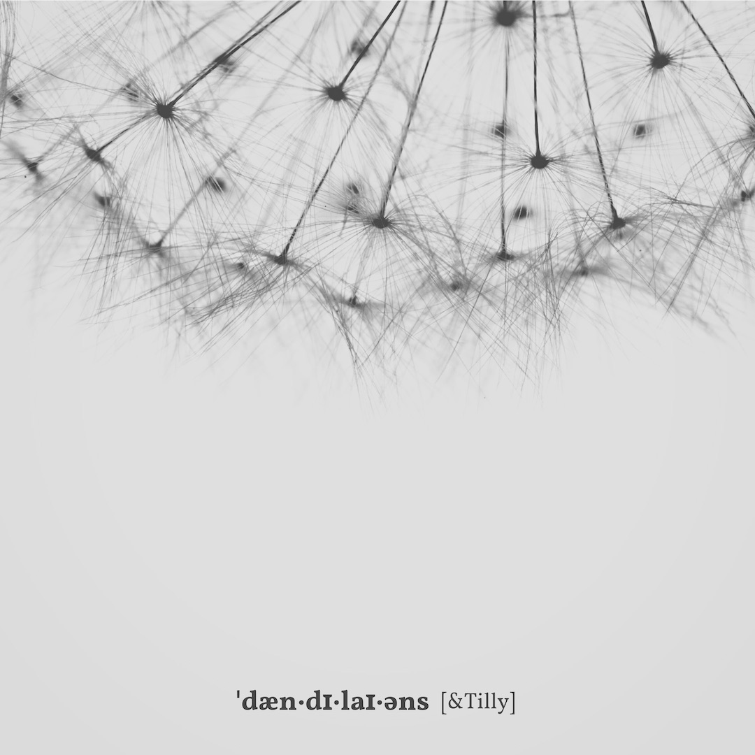 Dandelions cover