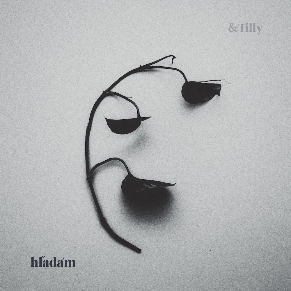 Hľadám cover