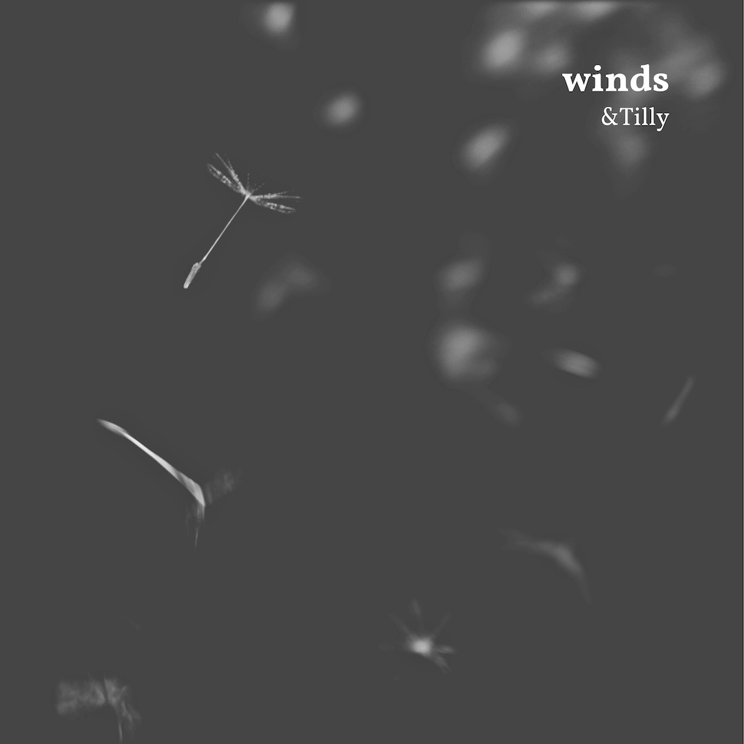 Winds cover