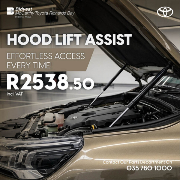 Hood Lift Assist image