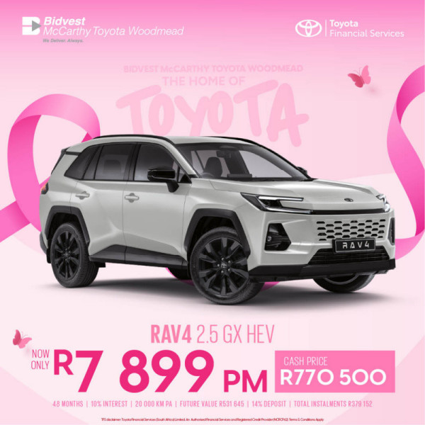 RAV4 2.5 GX HEV image
