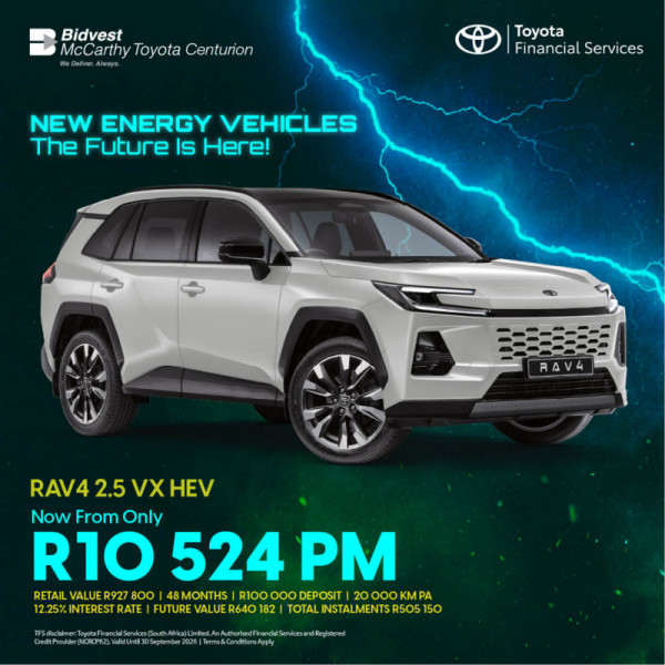 RAV4 2.5 VX HEV image