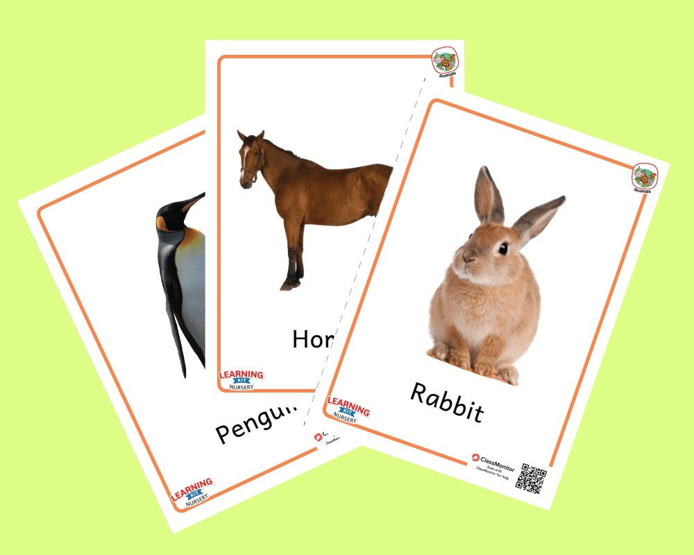 Introductory Activity - Animals