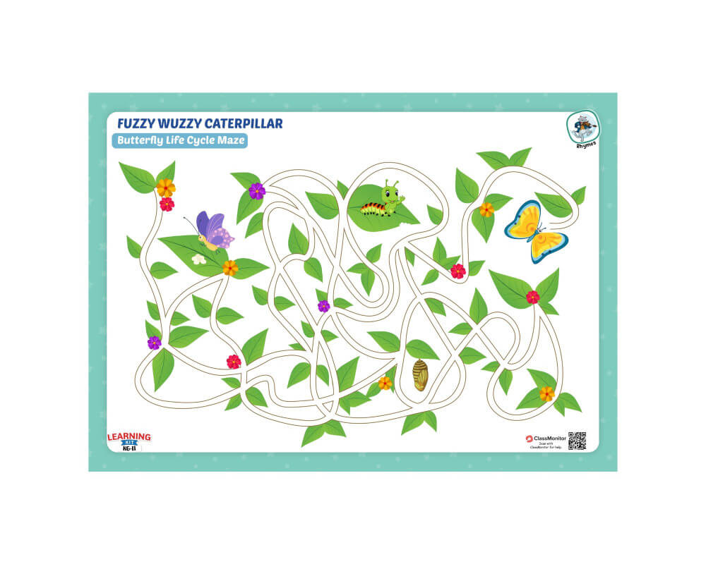 Fuzzy Wuzzy Caterpillar -Butterfly Life Cycle Maze