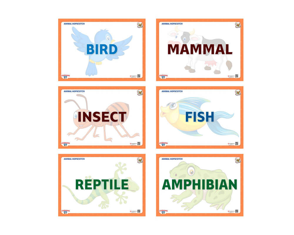 Animal Hopscotch