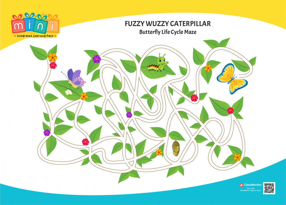 Fuzzy Wuzzy Caterpillar -Butterfly Life Cycle Maze