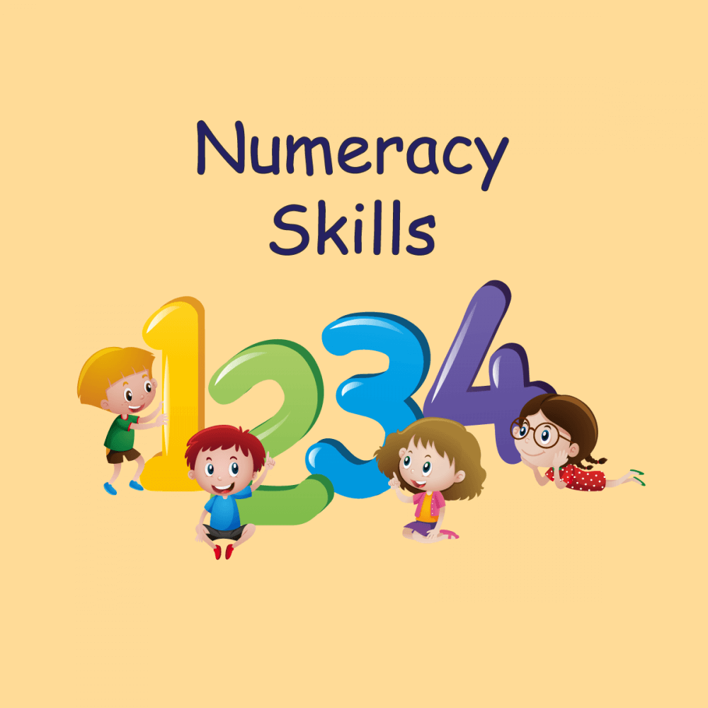 Numeracy Skills Activity Introductory Activity - Numeracy Skills ...