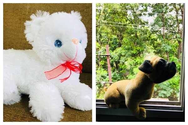 I-Spy Animal Game