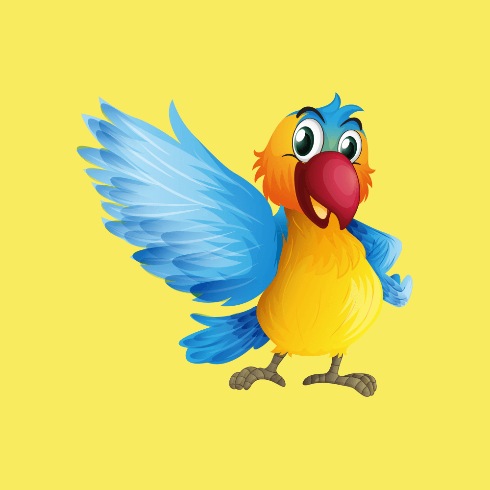 Introduction - Birds