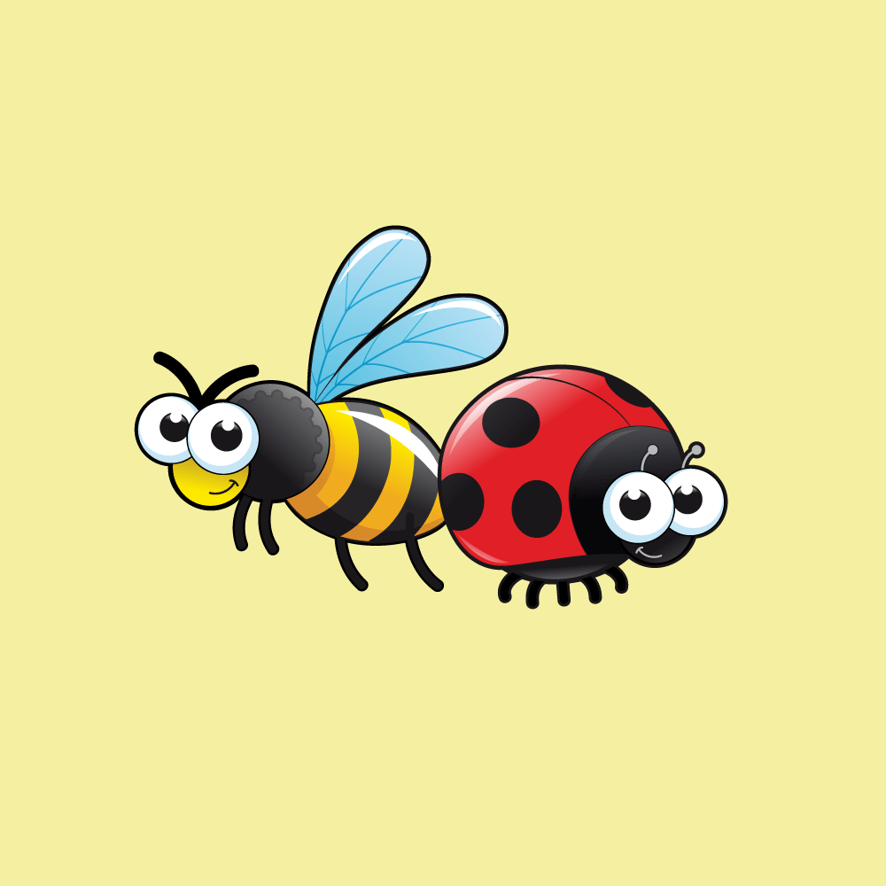 Introduction - Insects