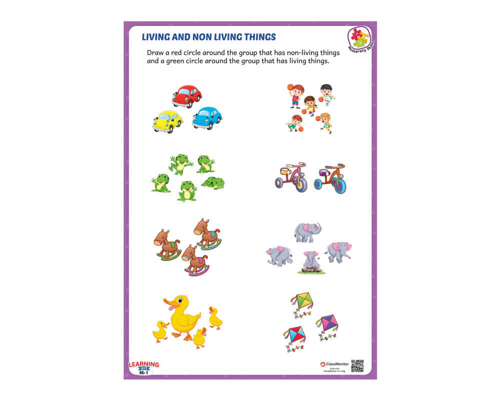 Numeracy Skills Activity Worksheet - Grouping Living And Non ...