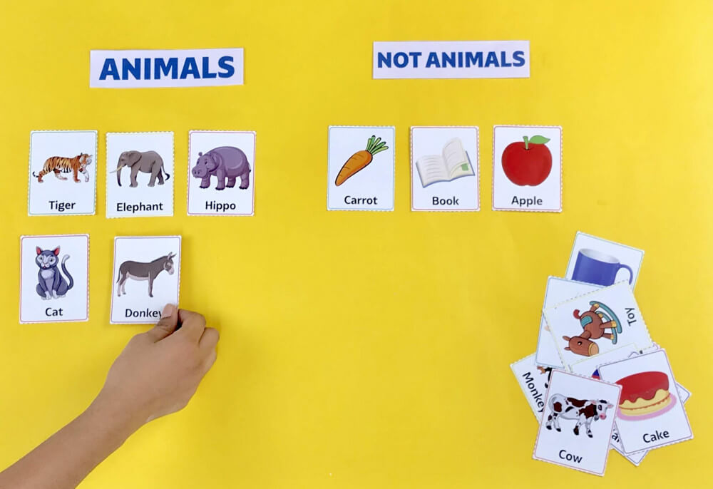 Animals Activity Animals Or Not Animals - ClassMonitor