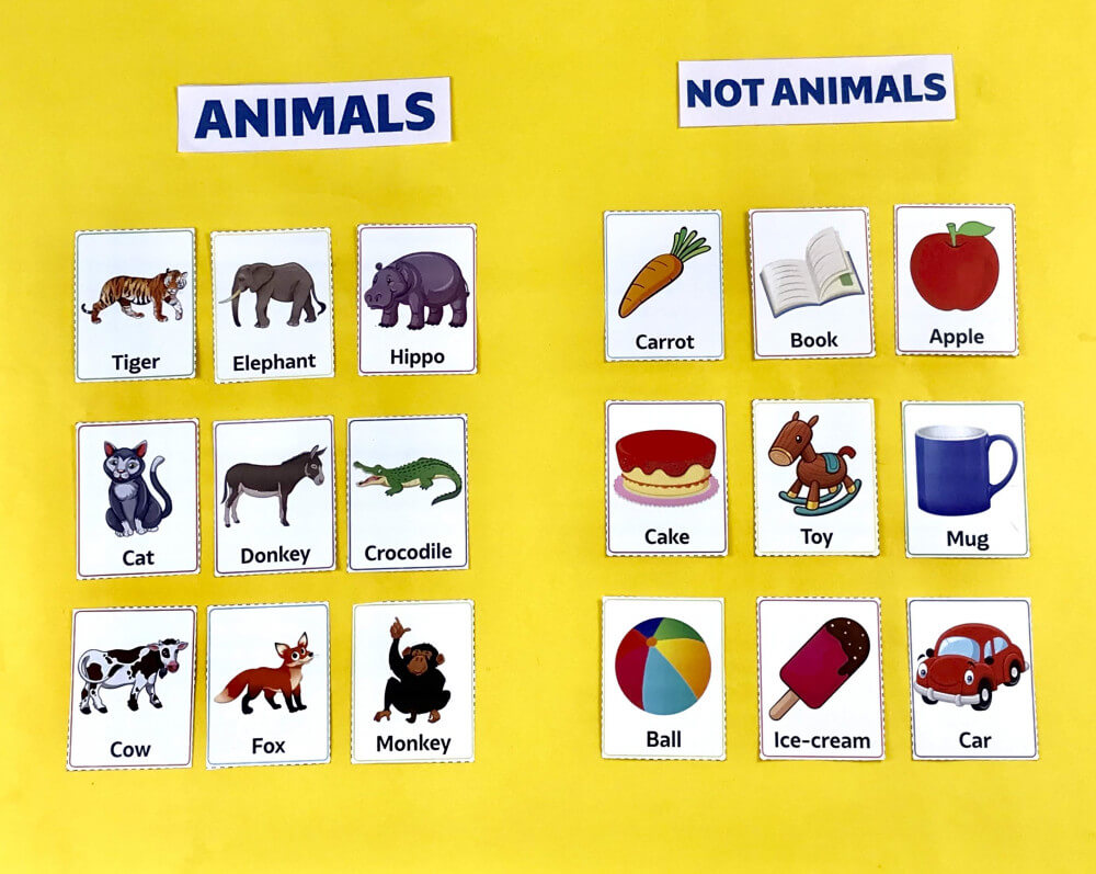 Animals Activity Animals Or Not Animals - ClassMonitor