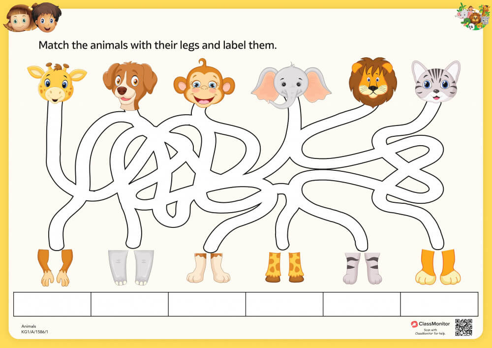 Match the Animals With Their Legs and Label Them