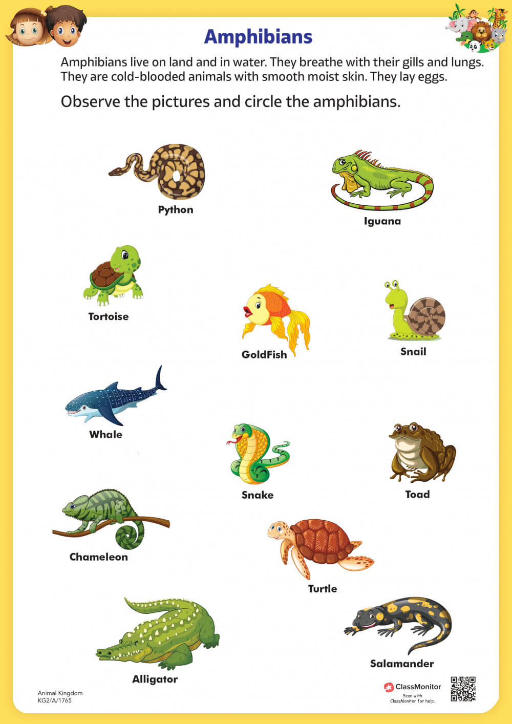 Worksheet - Amphibians