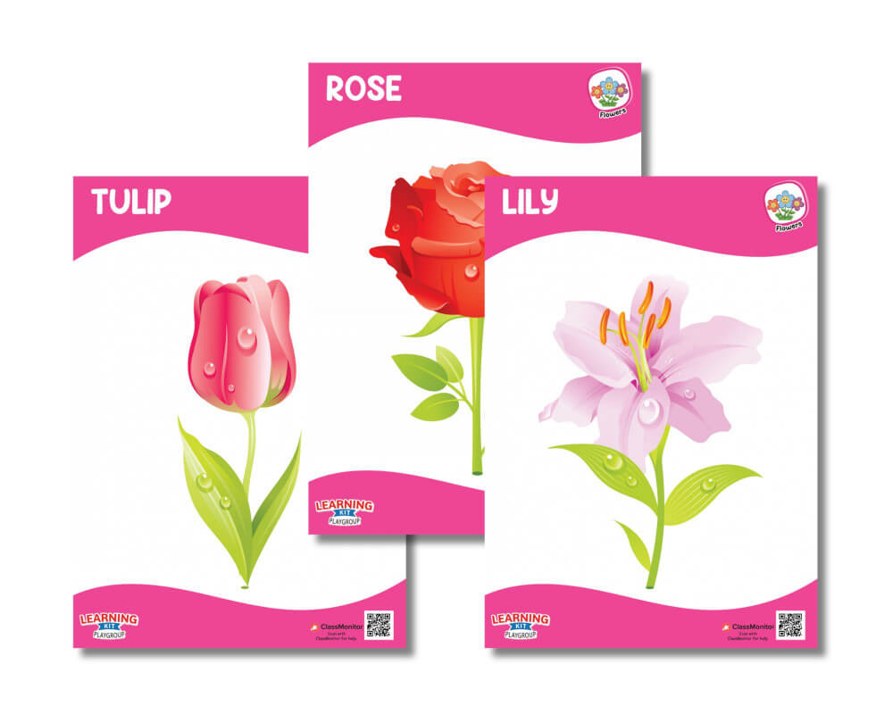 Flashcards - Flowers