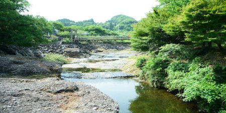 砥部衝上斷層