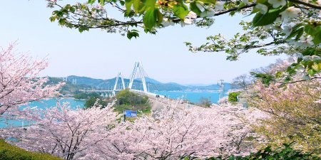 弓削大橋紀念公園