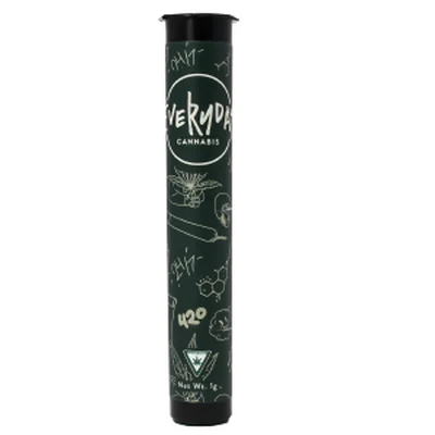 Jackie Robinson Pre Roll