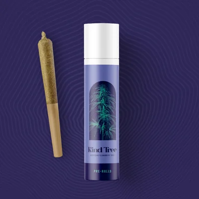 Ice Cream Banger Pre Rolls 2pk 1g